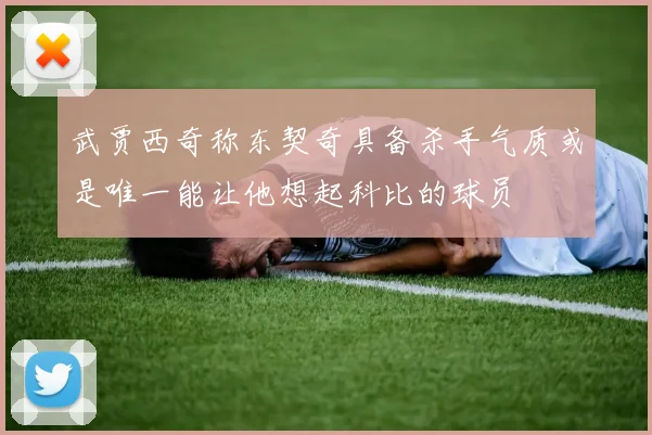 武贾西奇称东契奇具备杀手气质或是唯一能让他想起科比的球员